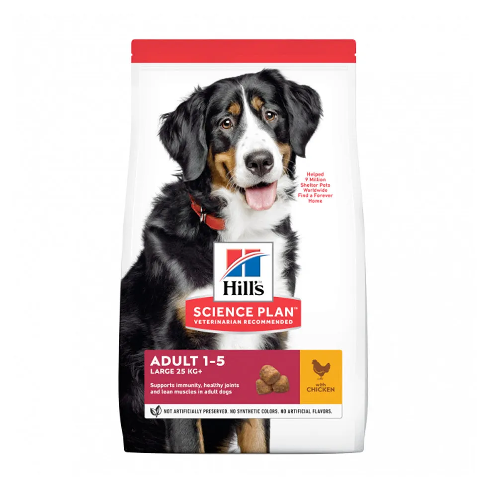 Adult Large Breed with Chicken Dog Food