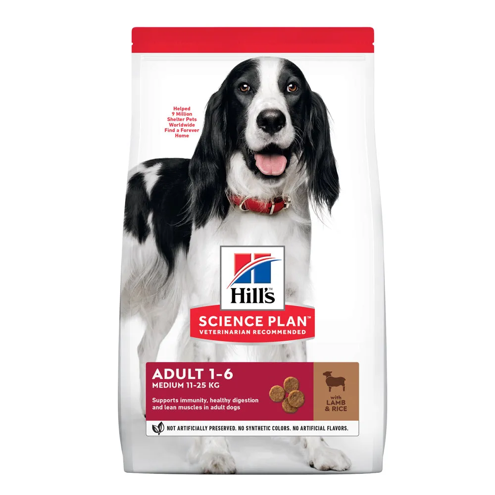 Adult Medium Breed with Lamb & Rice Dog Food