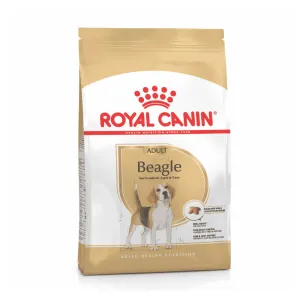 Beagle Adult Dry Dog Food