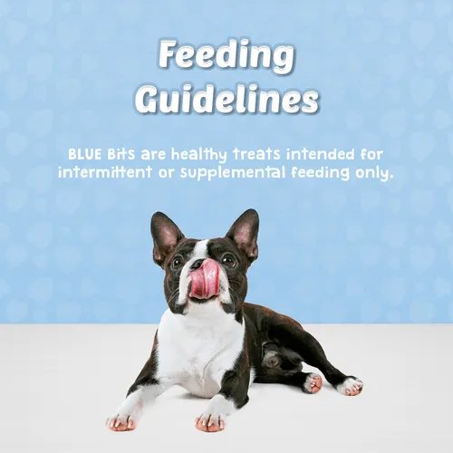 BLUE Bits Soft-Moist Training Treats; Tempting Turkey Recipe, 4 oz