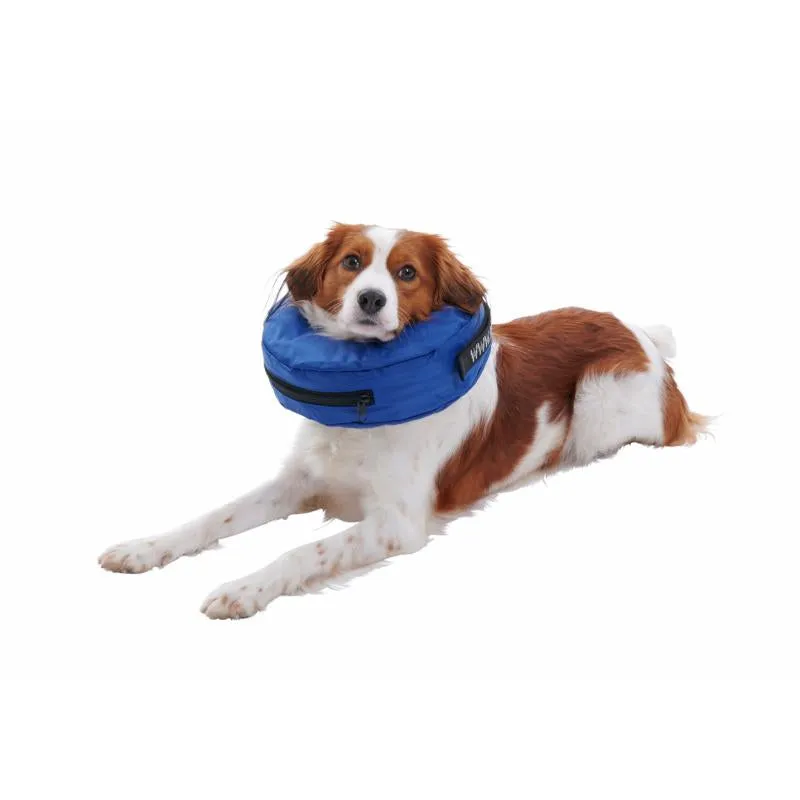 Buster Inflatable Dog Collar