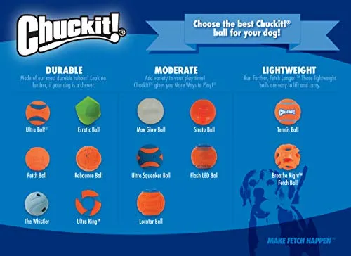 Chuckit Max Glow Ball Dog Toy, Medium (2.5 Inch Diameter) for dogs 20-60 lbs, Pack of 2