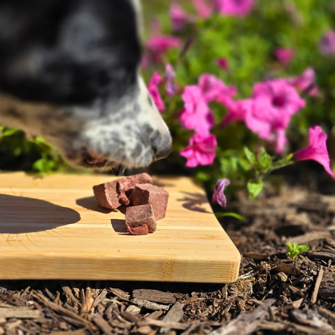 Freeze-Dried Beef Heart