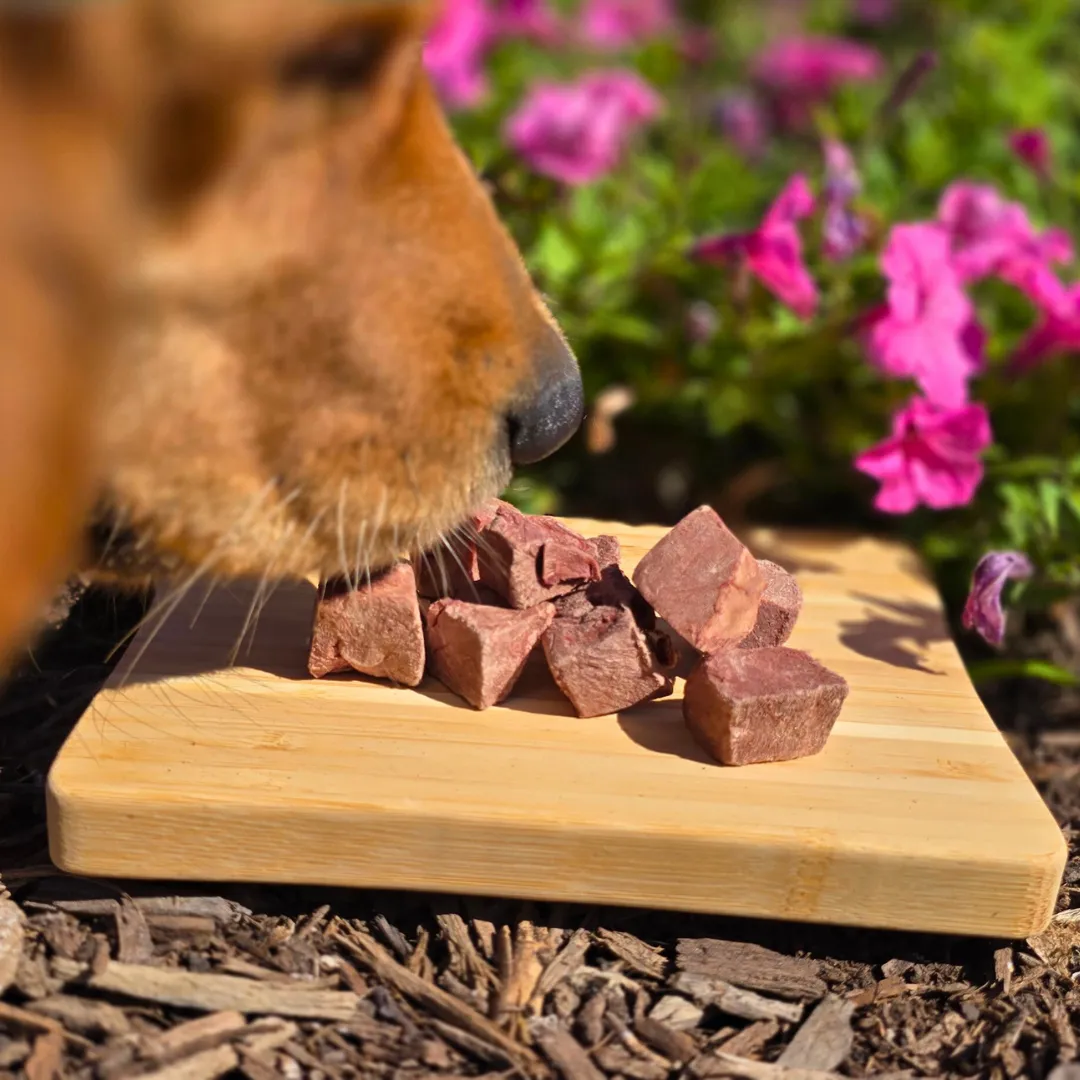 Freeze-Dried Beef Heart