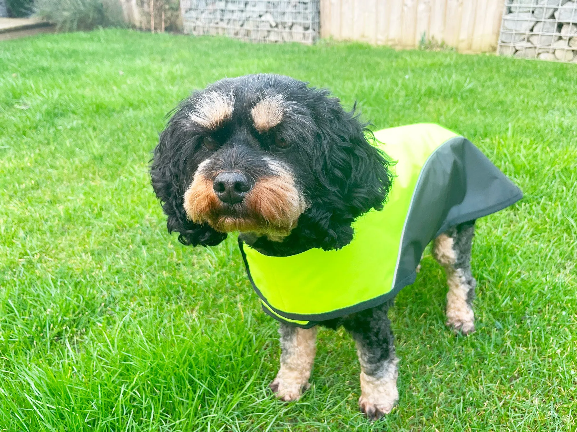 Happy Pet Hi-Vis Dog Jacket