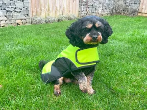 Happy Pet Hi-Vis Dog Jacket