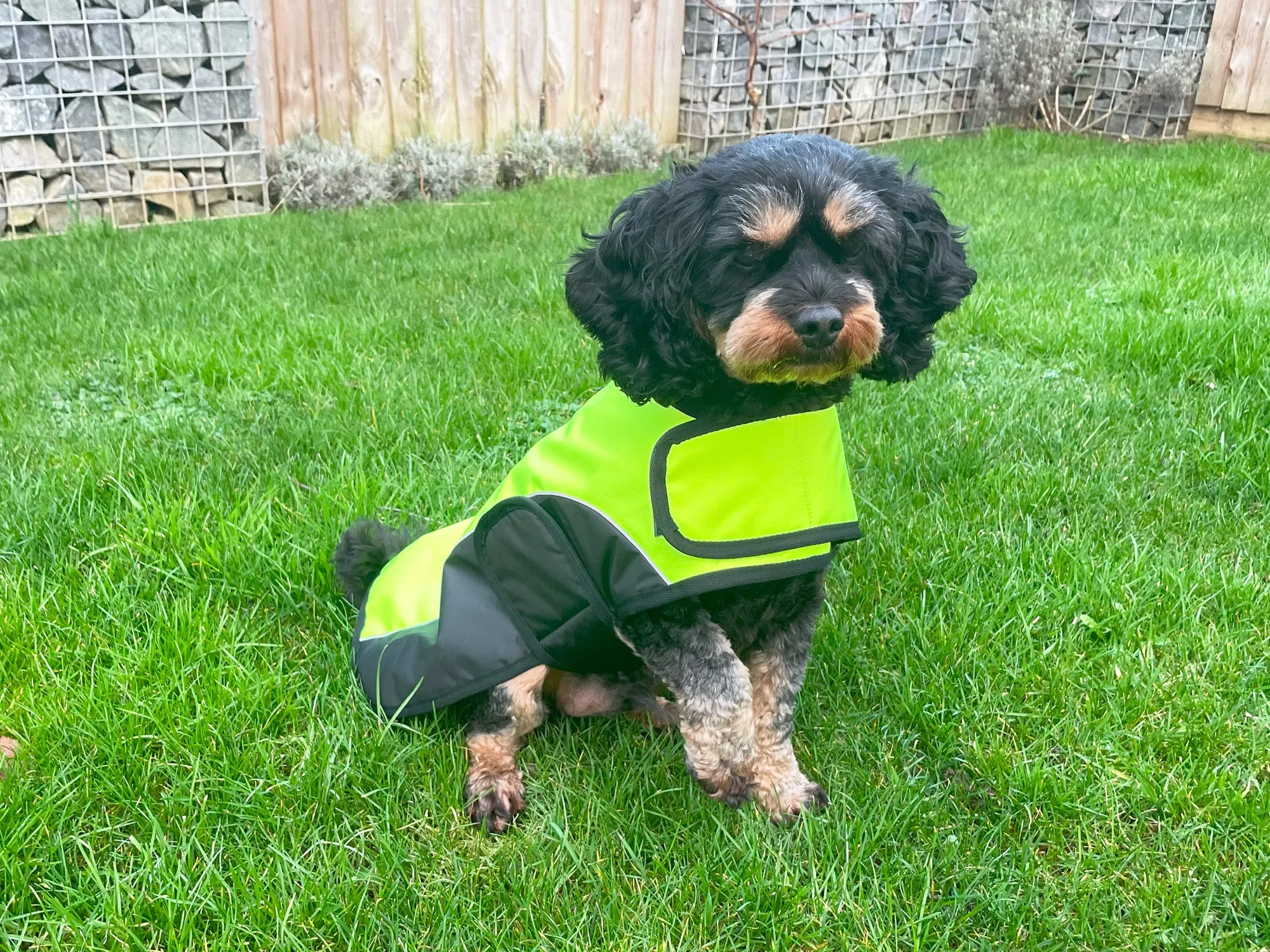 Happy Pet Hi-Vis Dog Jacket