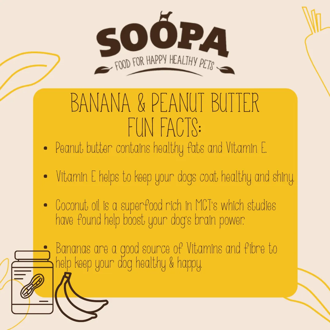 Natural Banana & Peanut Butter Vegan Healthy Bites