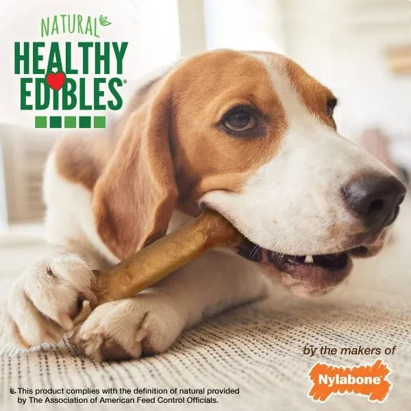 Nylabone Healthy Edibles Bacon Flavour Regular Dog Chew