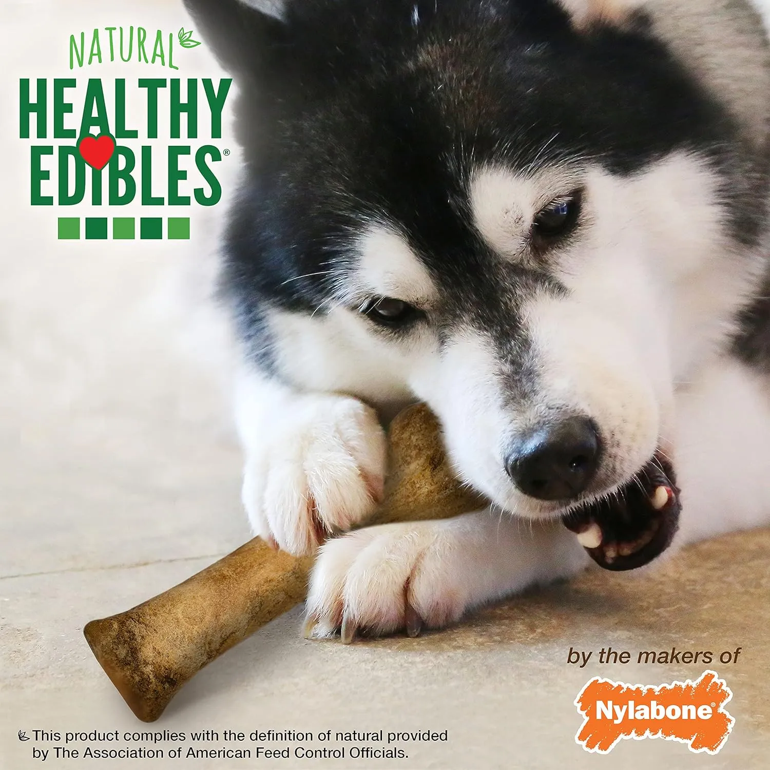 Nylabone Healthy Edibles, Souper (8")