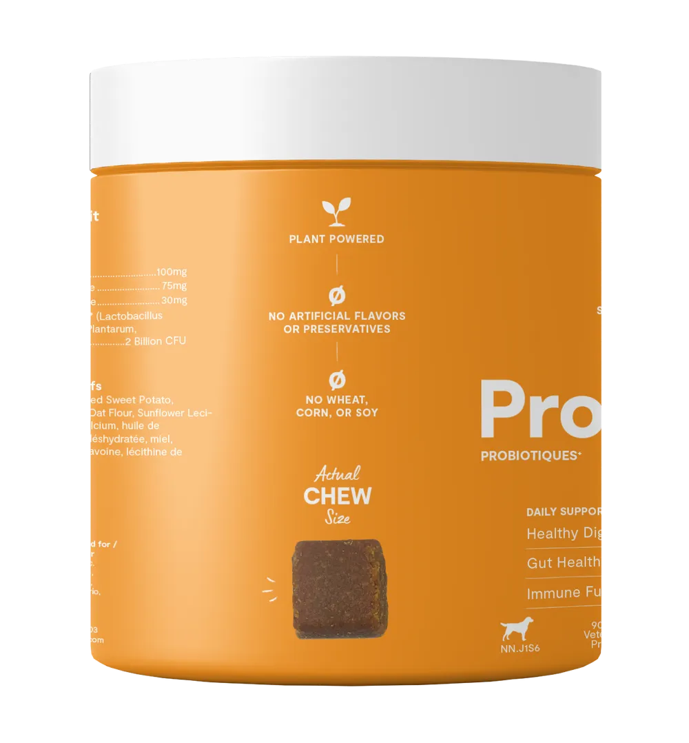 Open Probiotic Supplement Chews for Dogs