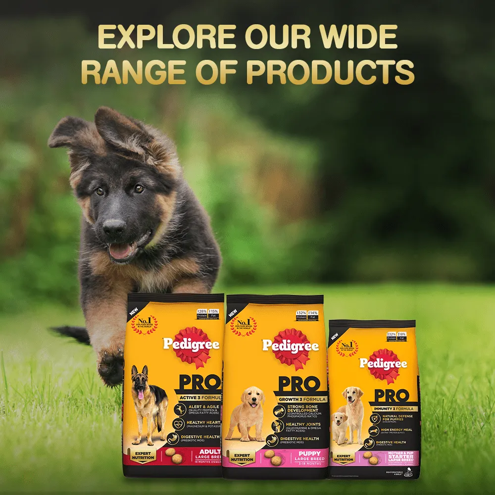 Pedigree PRO Expert Nutrition Lactating/Pregnant Mother & Puppy Starter(3 to 12 Weeks) Large Breed Dog Dry Food (Limited Shelf Life)