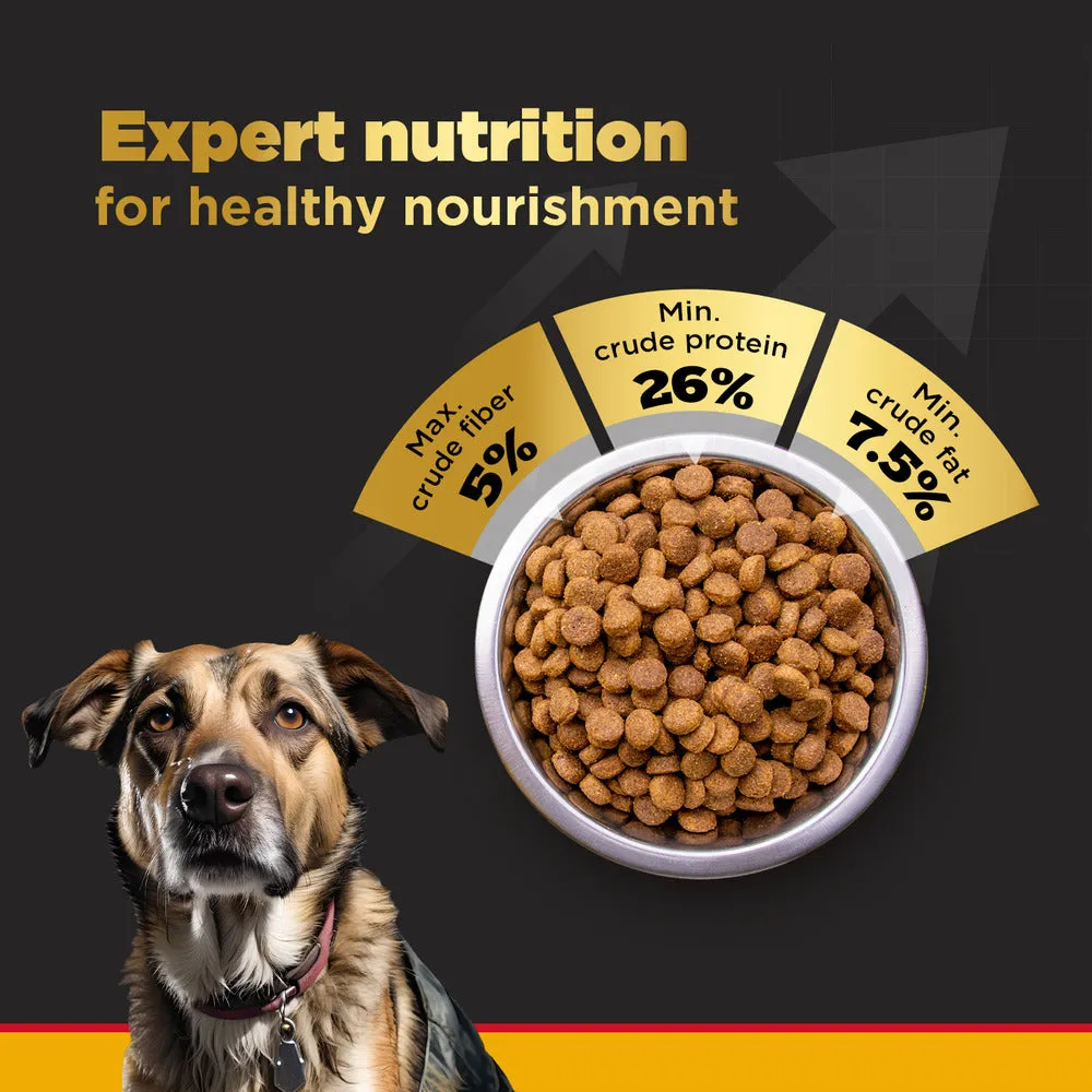 Pedigree PRO Expert Nutrition Senior(7  Years) Adult Dog Dry Food