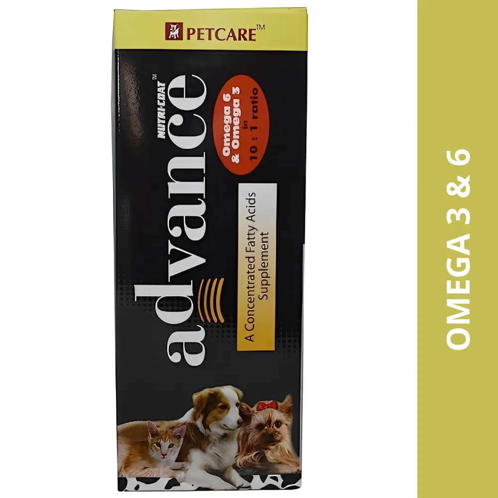 Petcare Nutricoat Advance Omega 3   6 Syrup for Dogs and Cats