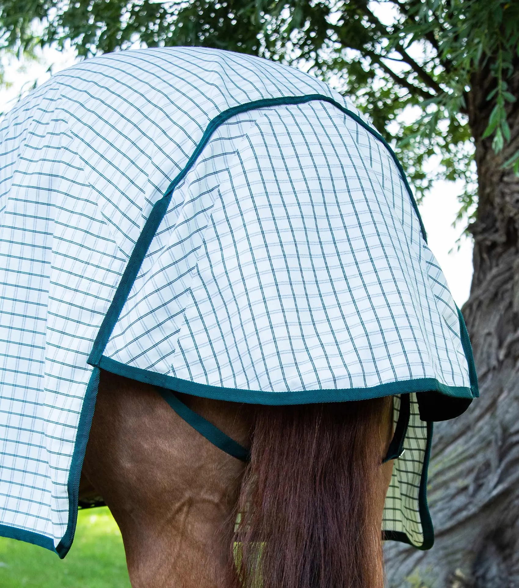 Premier Equine Cotton Sheet