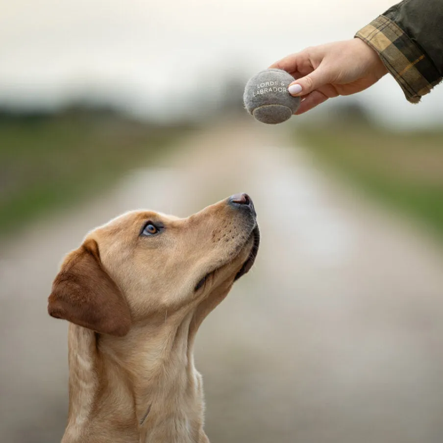 Super Bounce Tennis Balls 3 Pack by Lords & Labradors