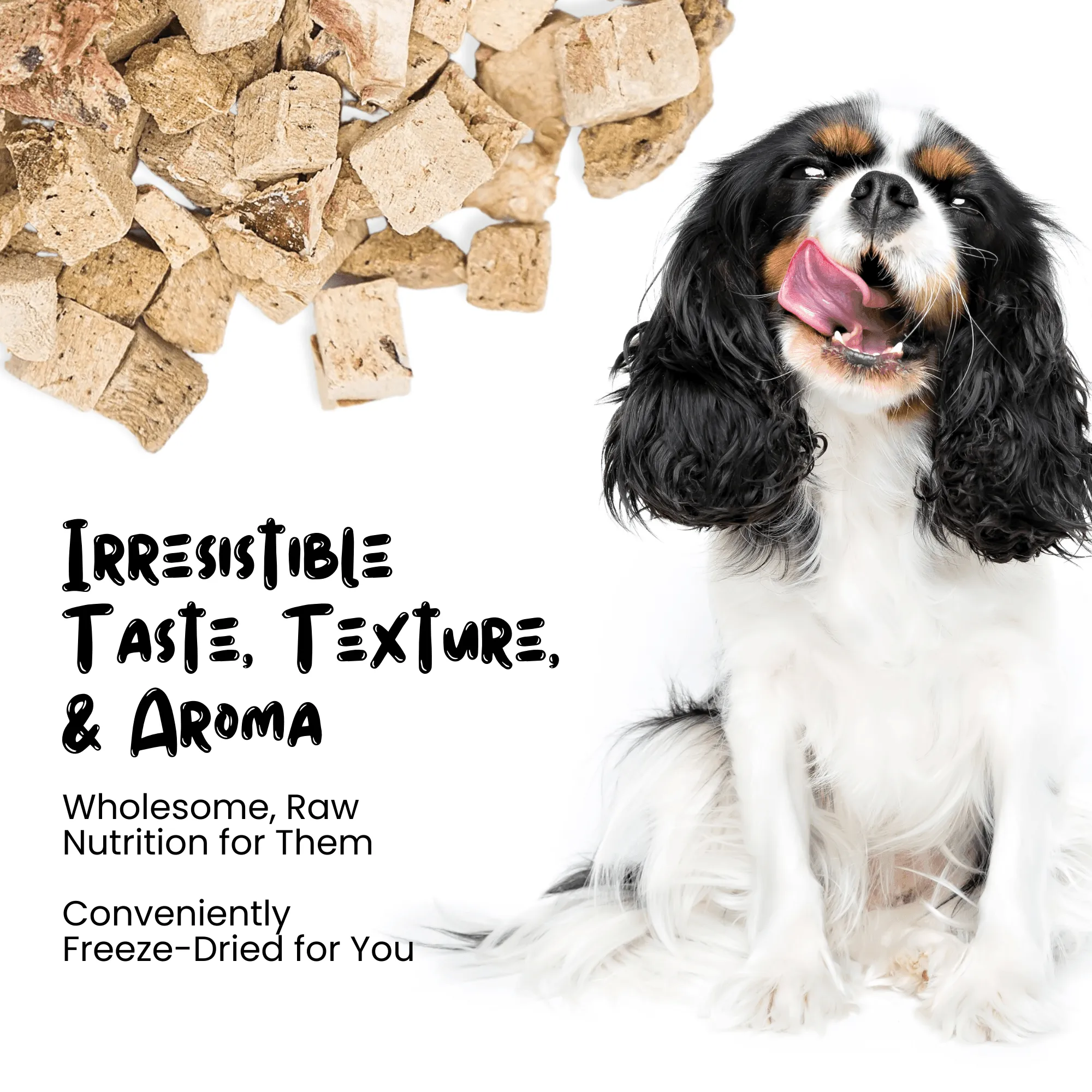 Wholesale Freeze Dried Chicken Liver Treats